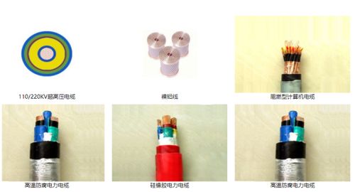 山東智造 綠色創(chuàng)新驚艷全球，環(huán)保產(chǎn)品引領(lǐng)未來(lái)市場(chǎng)